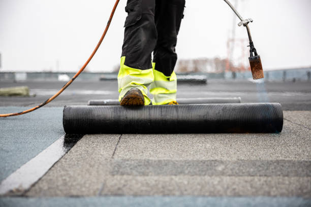 Best Roof Insulation Installation  in Staunton, IL
